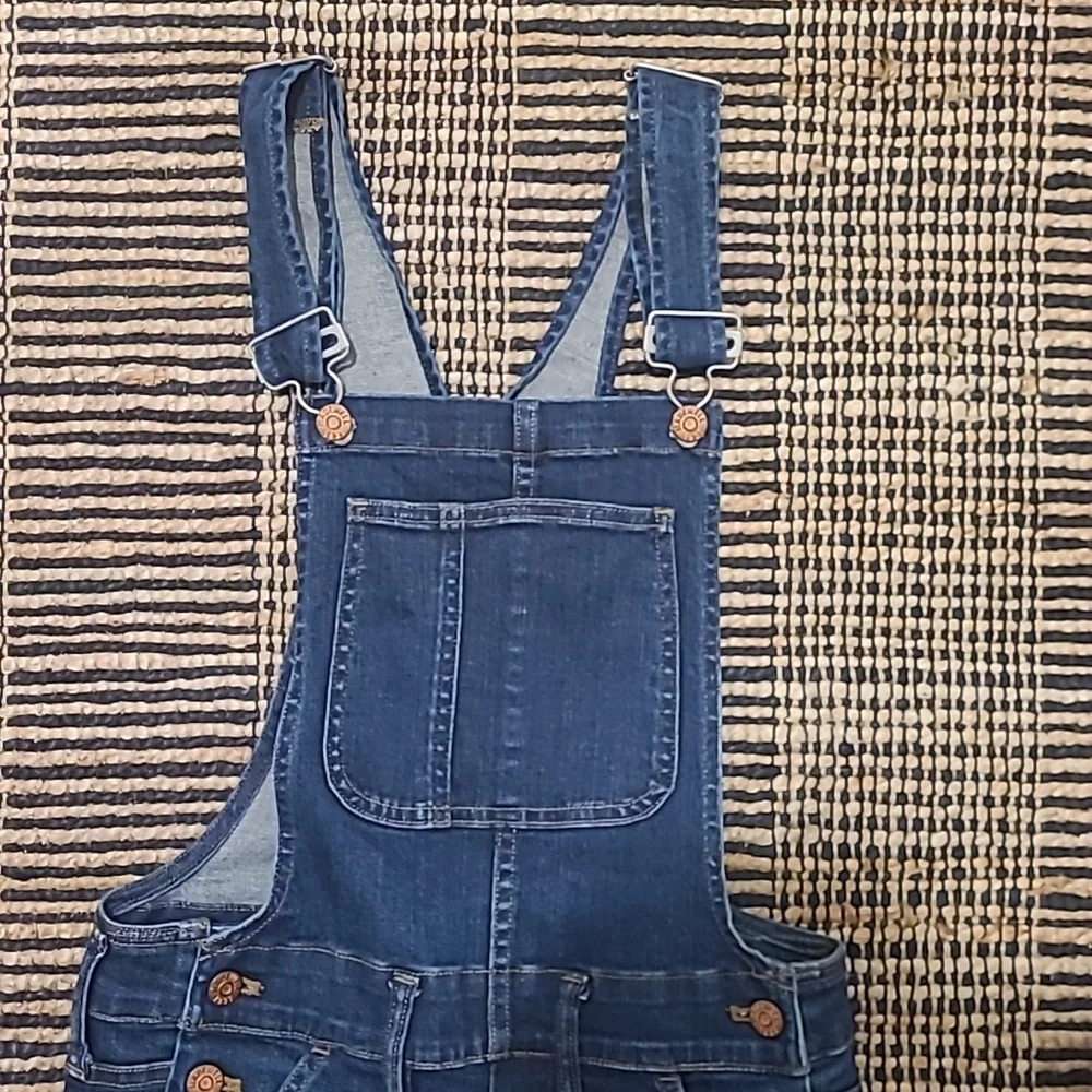 MADEWELL SKINNY JEAN OVERALLS - Picture 6 of 11